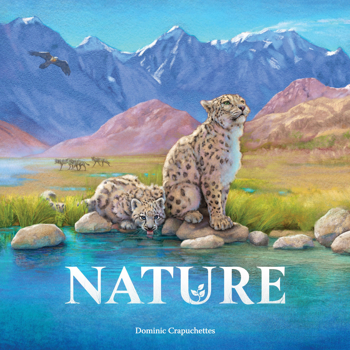 Box art of Nature