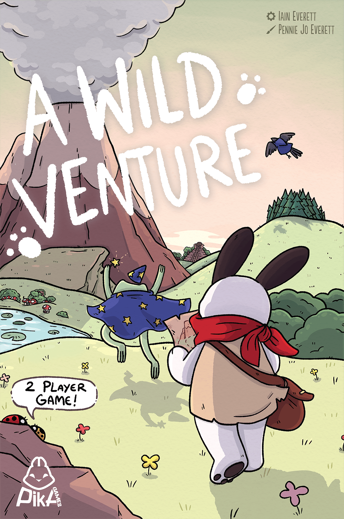 Box art of A Wild Venture