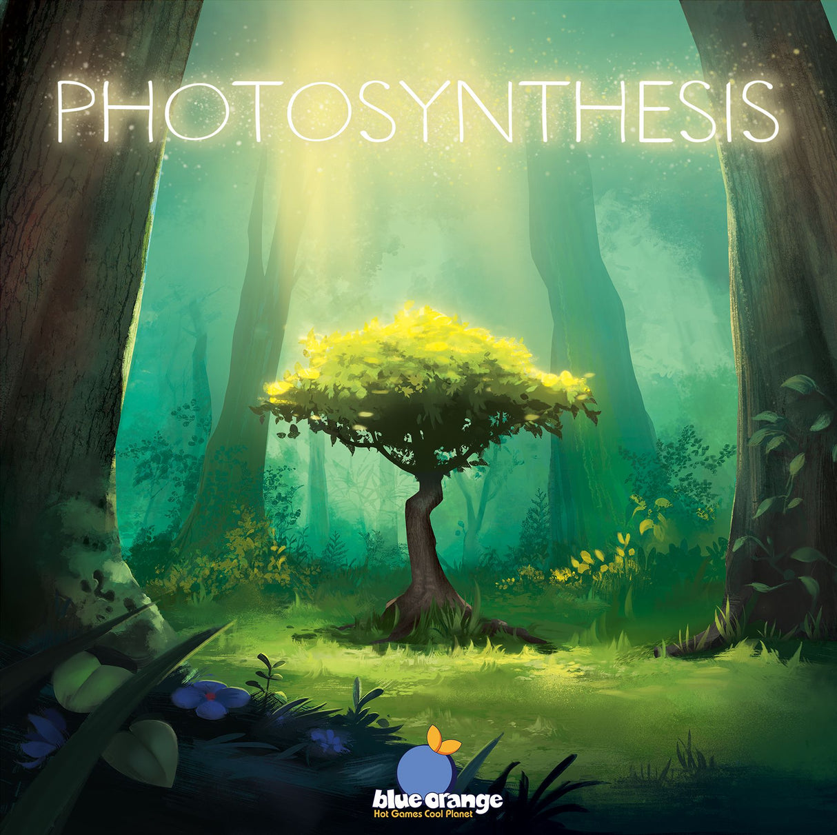 Box art of Photosynthesis