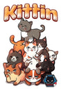 Box art of Kittin