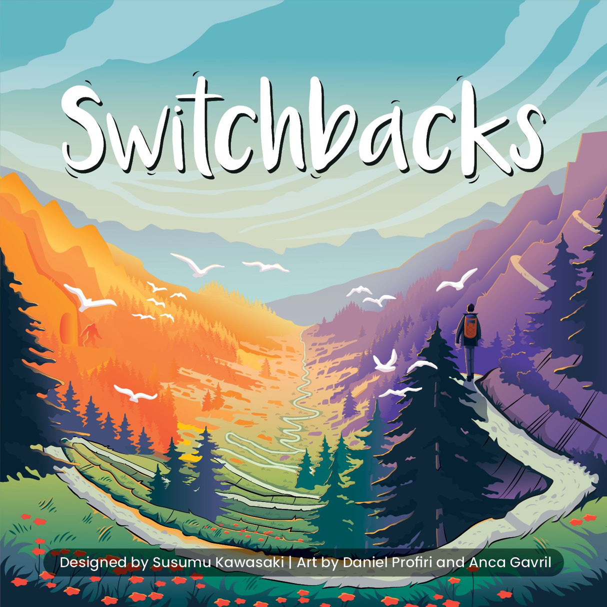 Box art of Switchbacks