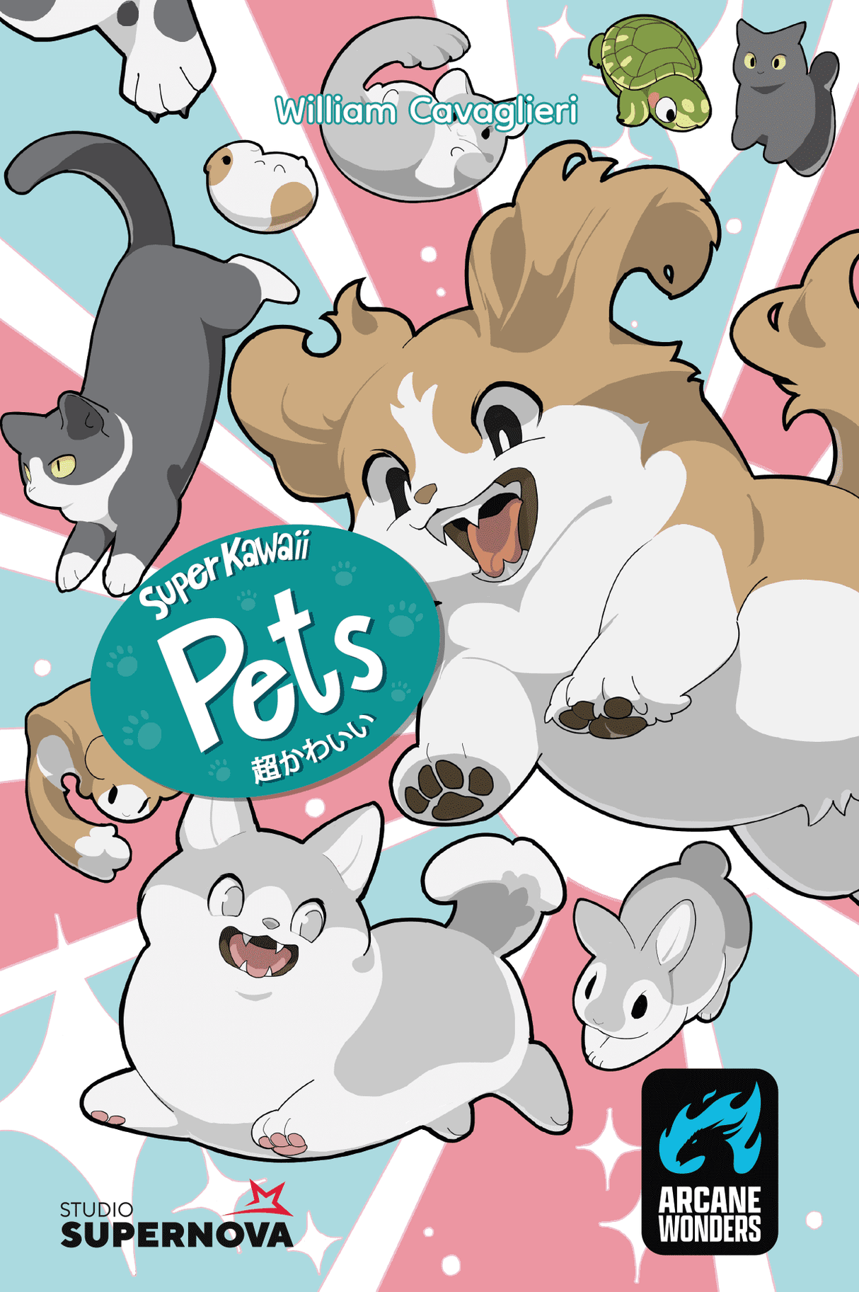 Box art of Super Kawaii Pets