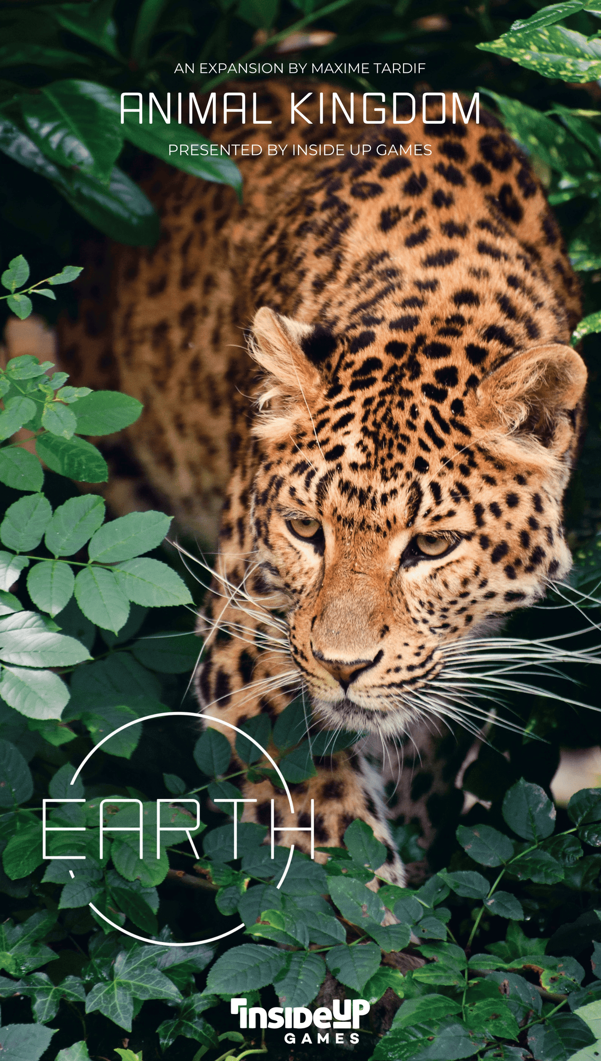 Box art of Earth: Animal Kingdom